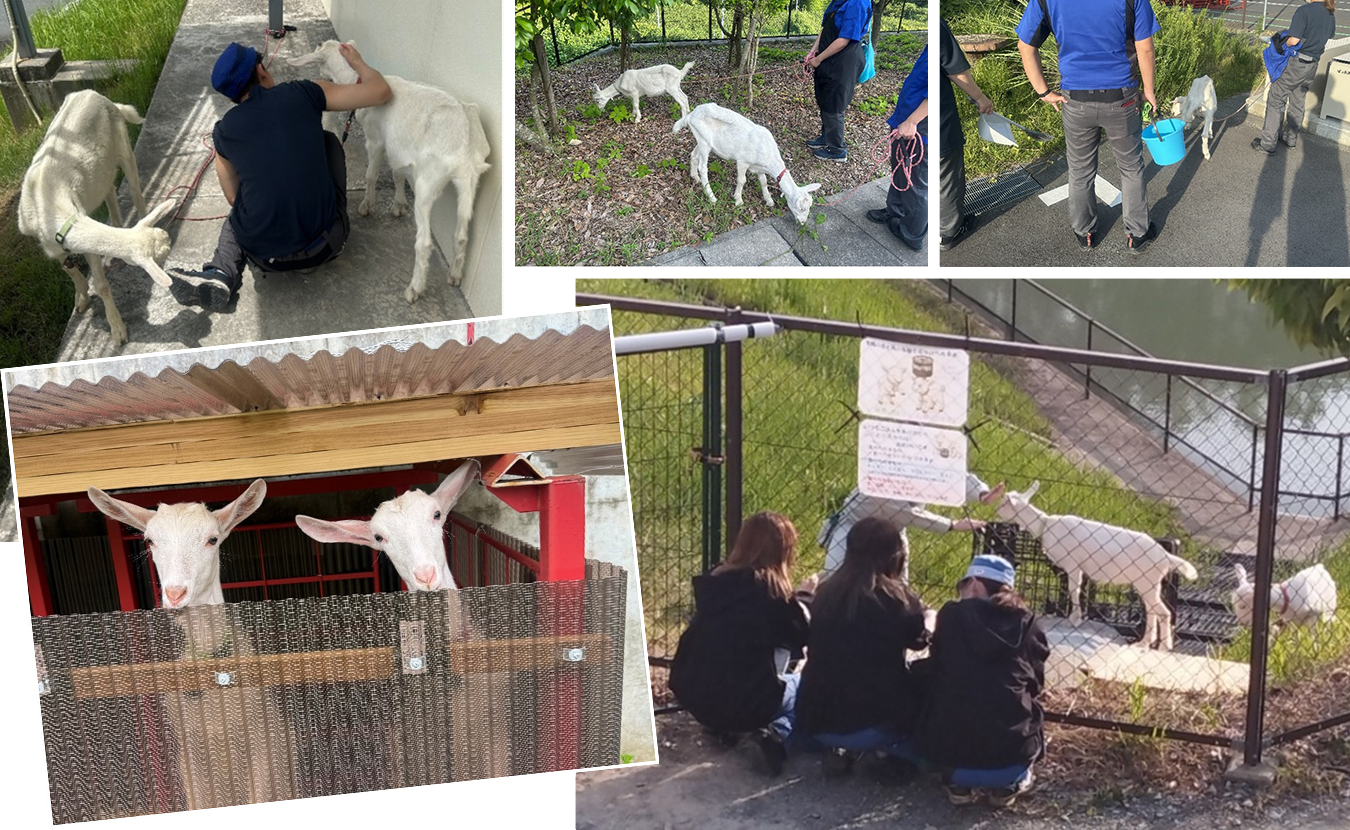 社員の癒しとコミュニケーションの促進