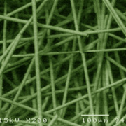 Glass Fiber (normal)